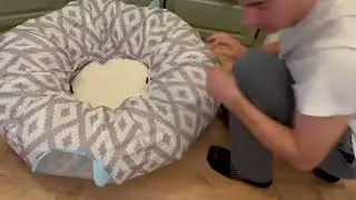 Kitty City Large Cat Tunnel Bed, Cat Bed Review, Why Our Cats Love This   The Best Cat Tunnel Bed