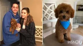 pete davidson peta video - peter pan peter pan youtube Instagram full new video
