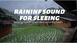 Fall Into Deep Sleep with Rain | Mountain Village Soundscape