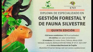 DIFLOES 15 ENER video1308687603