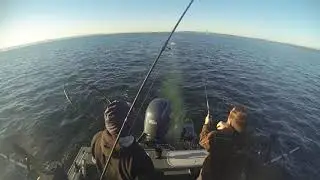 Puget Sound Silver Fishing 8/22/2025
