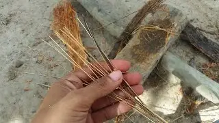 How to Get Wire that Tough from Palm Tree
