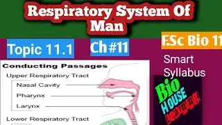Upper Respiratory Tract#Ch#11 New Biology Book #Topic 11.1