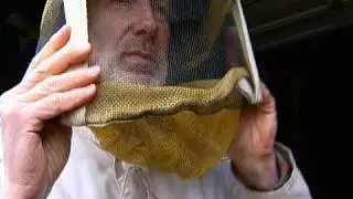 Beekeeping Basics: Getting Started
