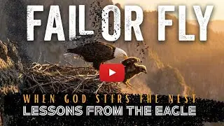 When God Stirs the Nest—Lessons From the Eagle