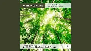 The Sound of Trees: C&eacute;leste, planant