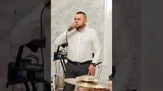 Dumitru Stancă- Muzica de petrecere 