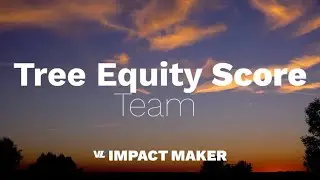 Tree Equity Score Impact Team