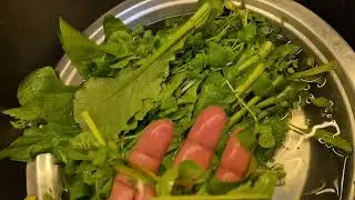 रविवार स्पेशल#dailylifvlog #duggu #family #vloggerr 