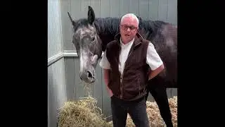 Burrow Seven Set to Make Racecourse Debut at Catterick