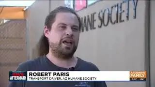 CBS 5: Hurricane Ida Pets Arrive in Arizona