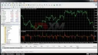Forex indicators and scripts