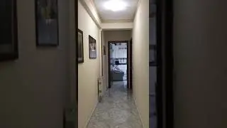 Cocorito viene da me al richiamo *Ciro*