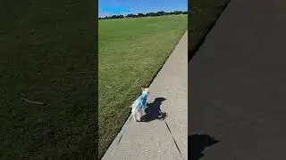 NEW Park Adventurez!! Cooler weather is coming!