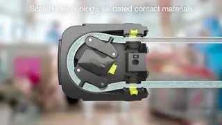 How do peristaltic pumps work (Sanitary) | WMFTG