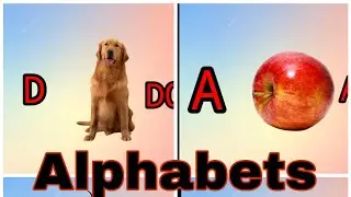 English alphabet study material for children (kids study metirial)A TO Z with pictures