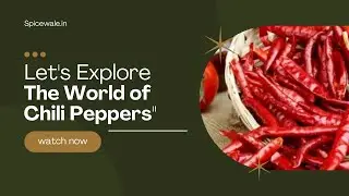 Fire & Flavor: Exploring the World of Chili Peppers