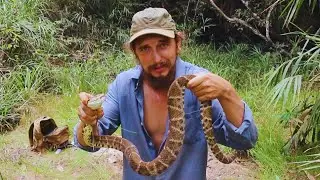 Meet the Most Dangerous Snake in South America