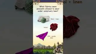 Which Fabrics Were BANNED for Peasants? 🌿 Medieval Quiz