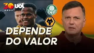 MAURO CEZAR: PROPOSTA DO PALMEIRAS POR ARIAS AINDA NÃO FOI ACEITA PELO WOLVES, DIZ JORNALISTA INGLÊS