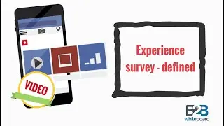 Experience survey - defined