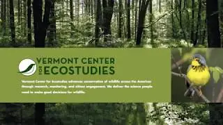 Ecology and Geology of Vermont