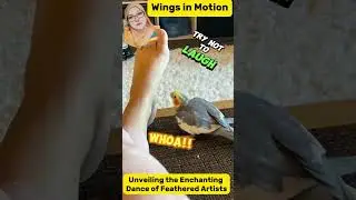 Dancing Feathers: A Spectacular Avian Extravaganza!