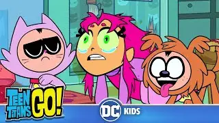 Kitties & Doggies | Teen Titans Go! | @dckids