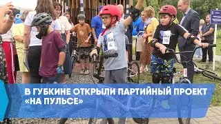 В Губкине открыли партийный проект &laquo;На пульсе&raquo;