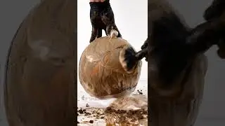 Speed Cleaning The World's DIRTIEST Euro 2024 Final Match Ball!