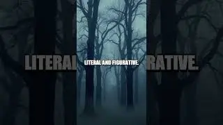 The Eerie Footsteps of Orchard Lane Park Path