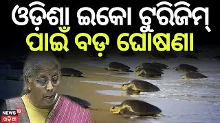 Big Boost for Eco-Tourism: Turtle Trails Announced for Odisha in Budget 2026 | Odia News | N18V