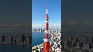 Tokyo Sky Flight &mdash; Cute Little Animal Pilot | 東京天空巡航 &mdash; 可愛小動物的專業飛行時刻 🌅🐾✈️