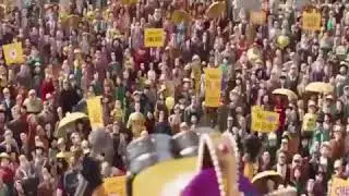 King bob