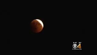 Watch Parties For Super Wolf Blood Moon Planned In Colorado