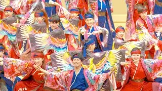 [4K] さぬき舞人 『KUKAI』　新春よさこい三昧 2025 第二部 (中央)