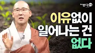 이유 없이 일어나는 건 없다 | 일묵스님의 불교를 다시 묻다 3회 | 연기 조건 인과 존재 본질 삶 의문 업 성격 욕계 색계 무색계 마음 작용 선업 악업 죽음 태어남 발생 윤회