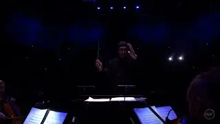 Lady of the Lake - The Witcher 3 | Live Orchestral Performance in Krakow 2016 [4K UHD]
