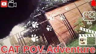 CAT POV Adventure . First Walk with  Camera . Life in the village of Michel's Cat