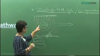 C4 Pathway  by AA Mam
