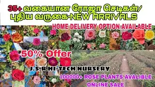 35+ வகையான ரோஜா செடிகள் ONLINE SALE / 50% Offer / ALL OVER INDIA HOME DELIVERY