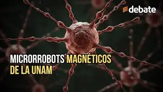 UNAM desarrolla microrrobots magn&eacute;ticos inspirados en bacterias para uso m&eacute;dico e industrial