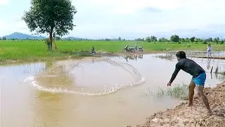 Net Fishing in Battambang Province - Stream Near Sampov Mountain