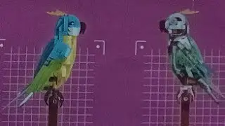Robot Parrot Build Animation 🦜