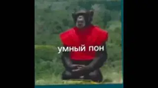Sticker edit | telegram | easy edit | tutorial on 50likes👍 | #edit #monkey #money #ronaldo #sticker