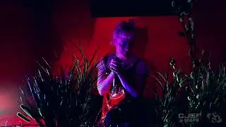 Ivory Towers (CJSF Studio 6 Live Session)