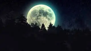 Night Ambience Loop | Free Sound Effects | Ambient Sounds