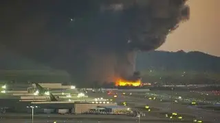 UPS plane crashes near Louisville airport; several fatalities reported