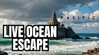 Experience 12 Hours of Ocean ASMR : Natural Sounds for Deep Sleep, Relaxation & Anxiety Control 🌊🎧😌