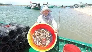 老四出海终于抓到猛货了，海货一个接一个钻进鳗笼，今天小赚一笔
